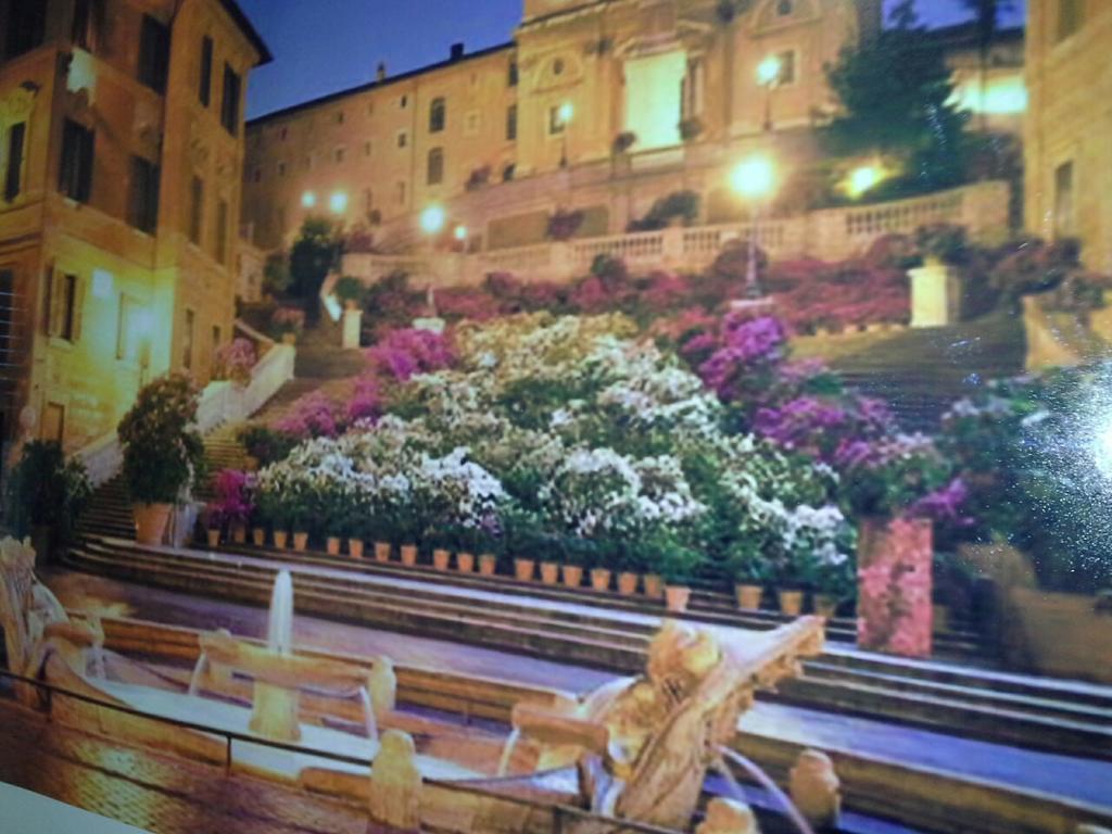 Guest house Olimpica Relais Guest House 2*